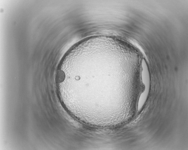 X0000088621091200706221449