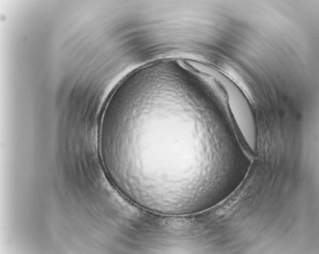 X0000088621092200706221449