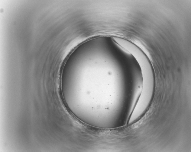 X0000088621093200706221449