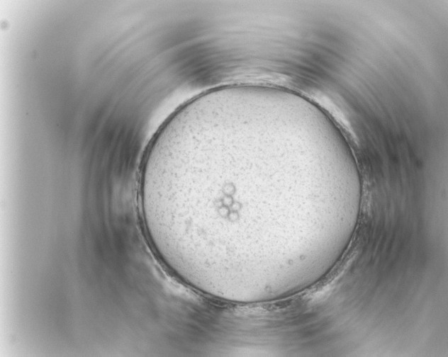 X0000088621094200706221449