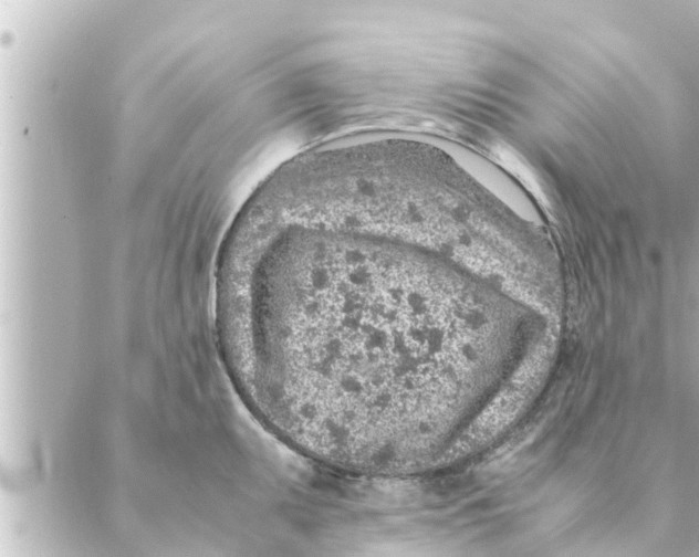 X0000088621095200706221449