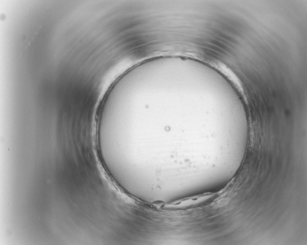 X0000088621096200706221449