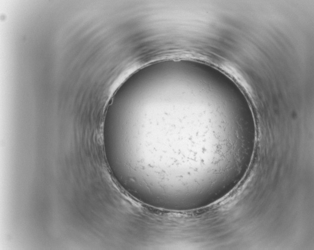 X0000088621097200706221449