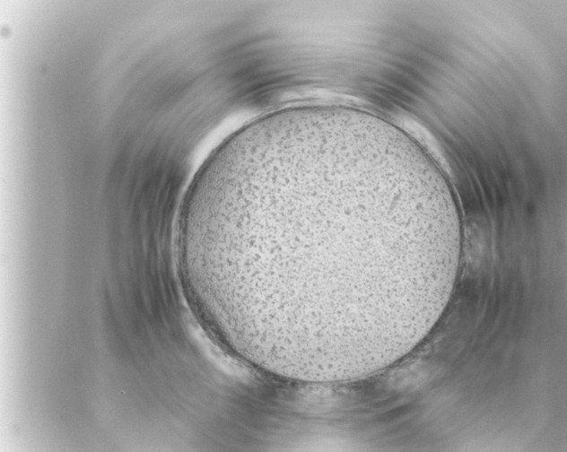 X0000088621098200706221449