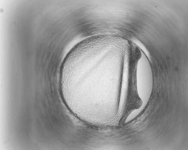 X0000088621099200706221449