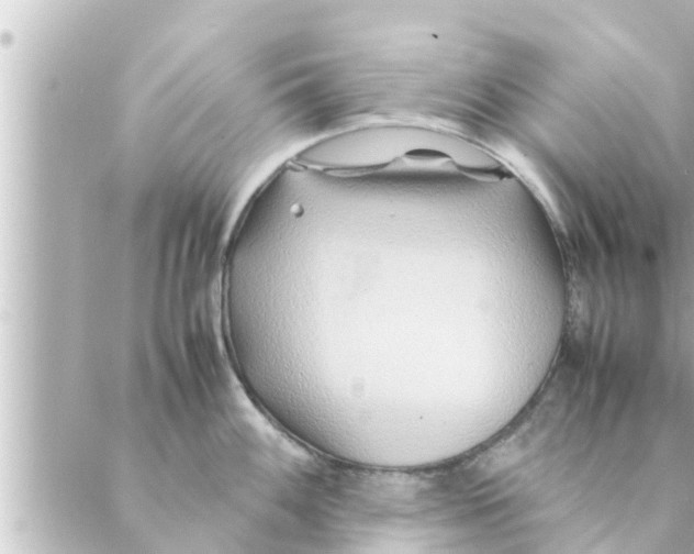 X0000088621100200706221449