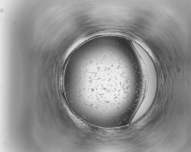 X0000088621101200706221449