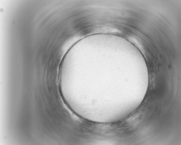 X0000088621103200706221449