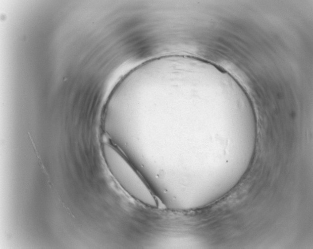 X0000088621104200706221449