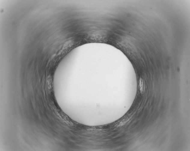 X0000088621107200706221448