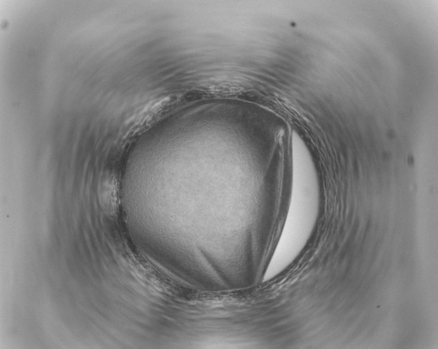 X0000088621108200706221448