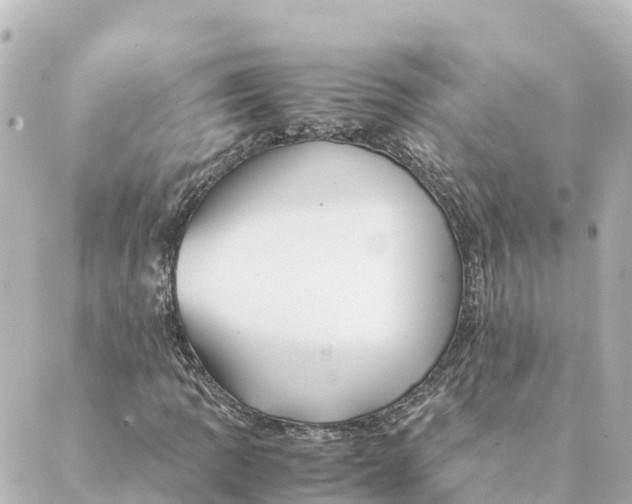 X0000088621109200706221448