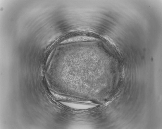 X0000088621110200706221448