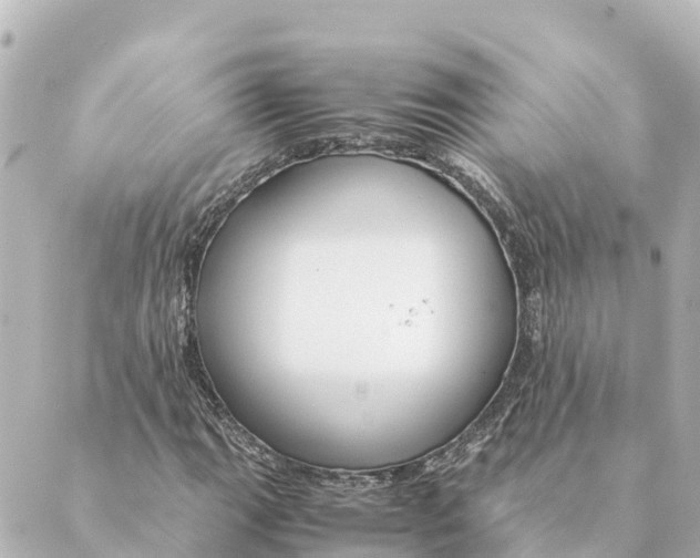 X0000088621111200706221448