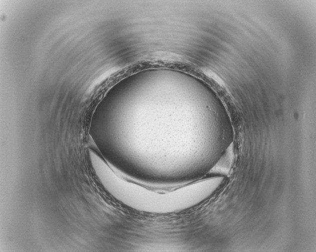 X0000088621112200706221448