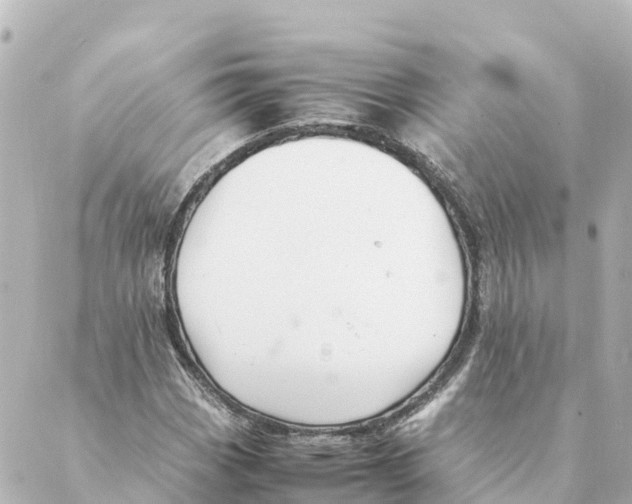 X0000088621113200706221448