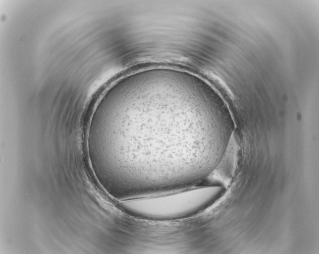 X0000088621114200706221448