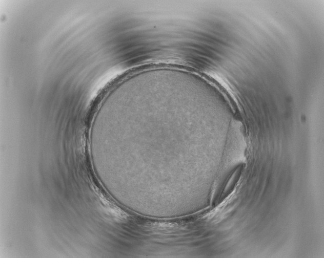 X0000088621115200706221448