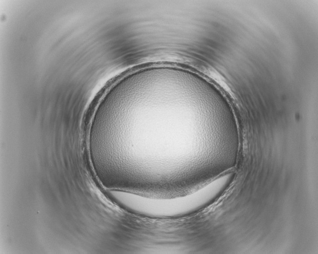 X0000088621116200706221448