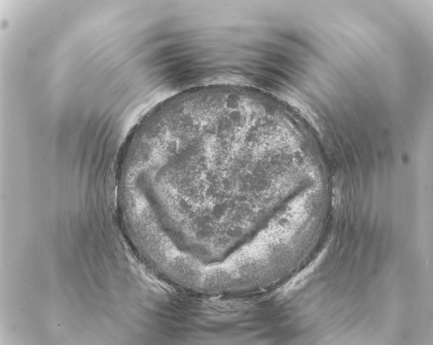 X0000088621117200706221448