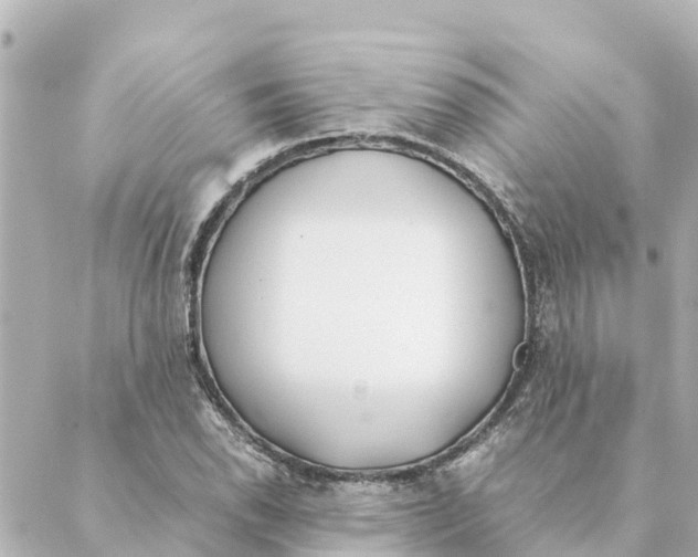 X0000088621118200706221448