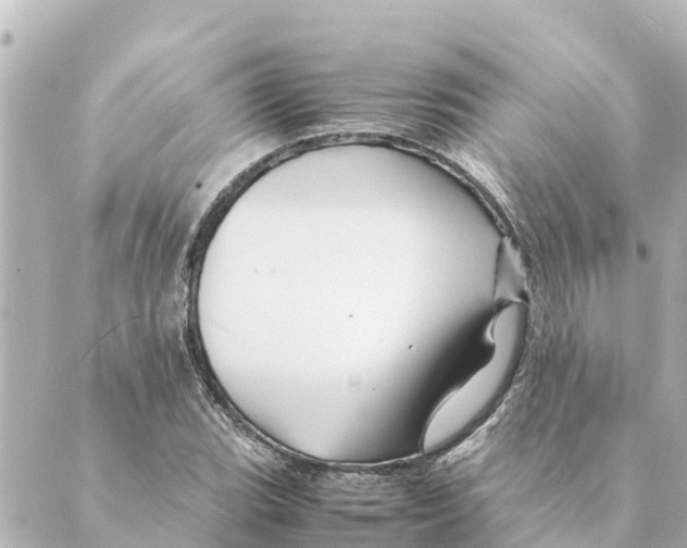 X0000088621119200706221449