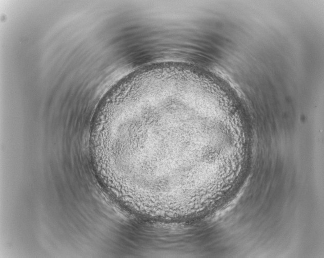 X0000088621121200706221449