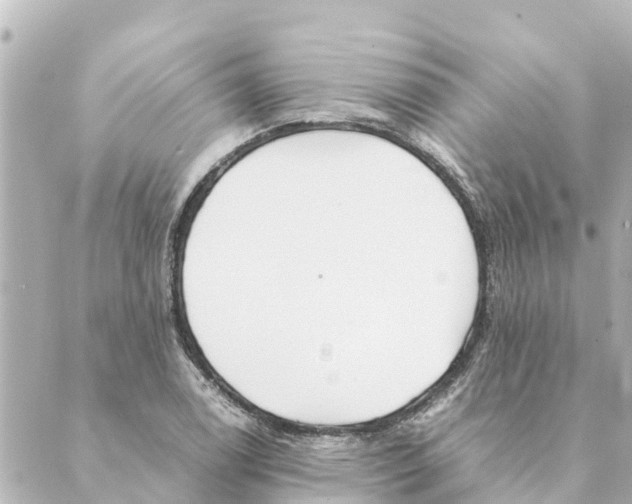 X0000088621122200706221449