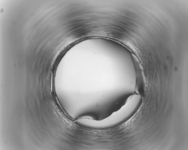 X0000088621123200706221449