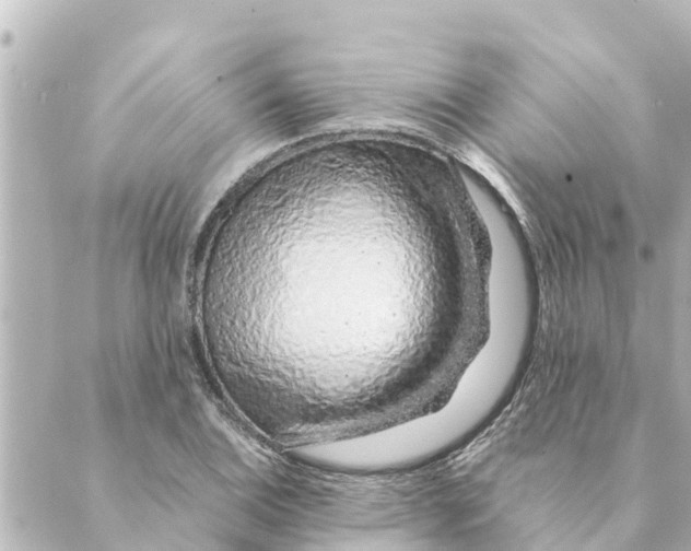 X0000088621124200706221449