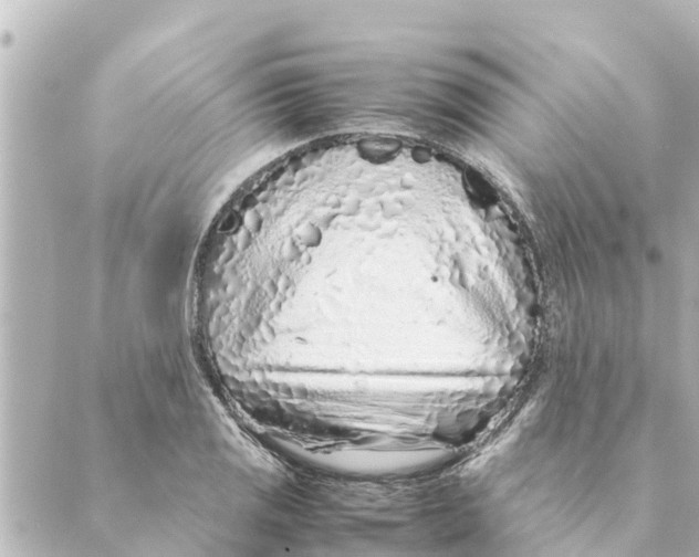 X0000088621125200706221449