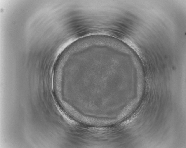 X0000088621127200706221449