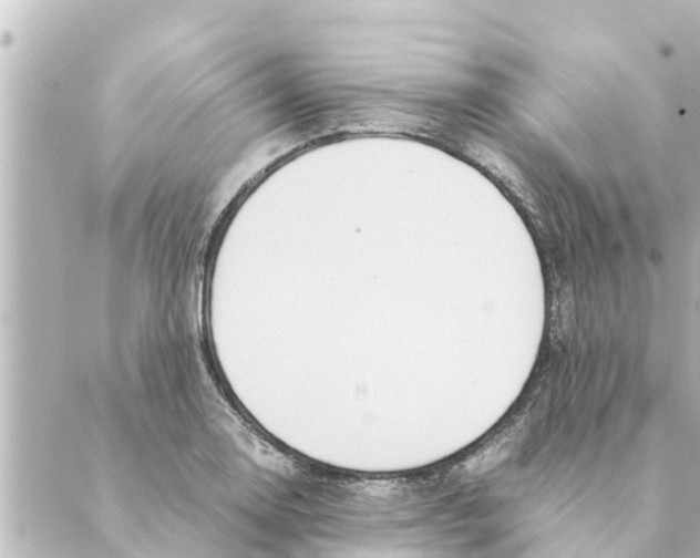 X0000088621130200706221449