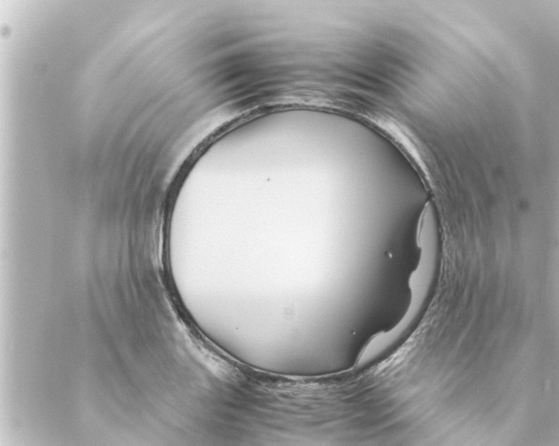 X0000088621131200706221449