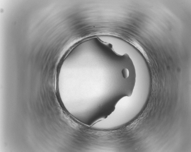 X0000088621132200706221449