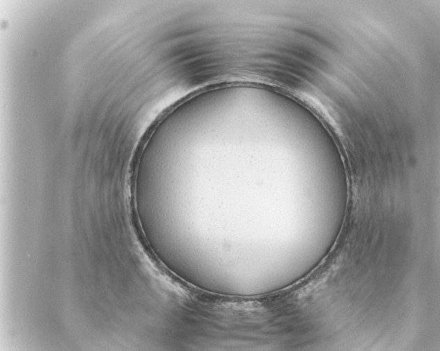 X0000088621133200706221449