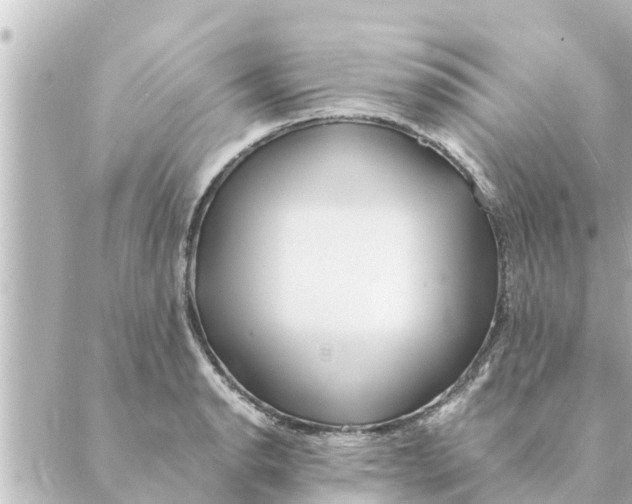 X0000088621134200706221449