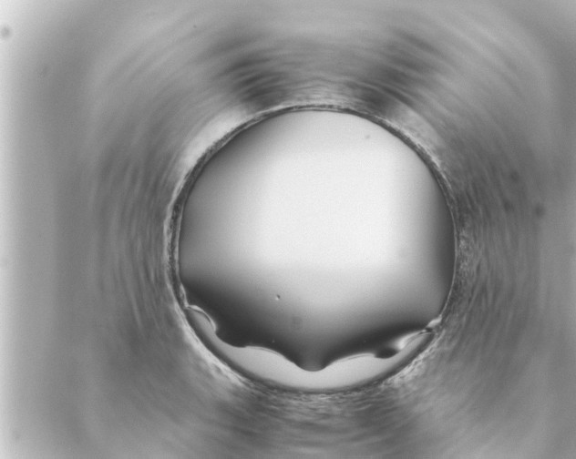 X0000088621135200706221449