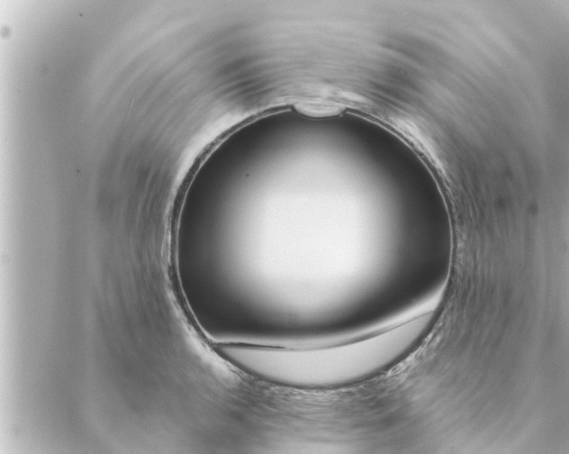 X0000088621136200706221449