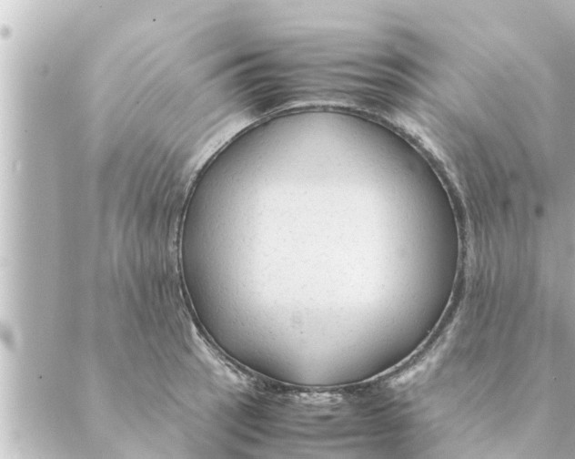 X0000088621137200706221449