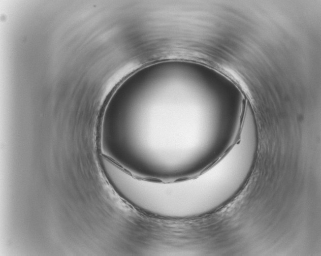 X0000088621138200706221449