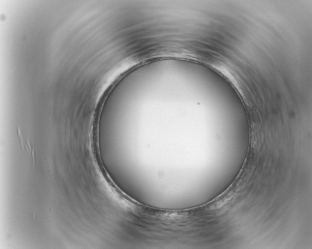 X0000088621139200706221449