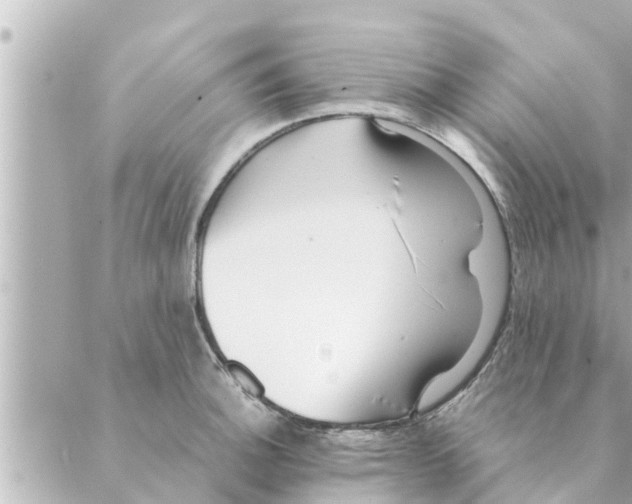 X0000088621140200706221449