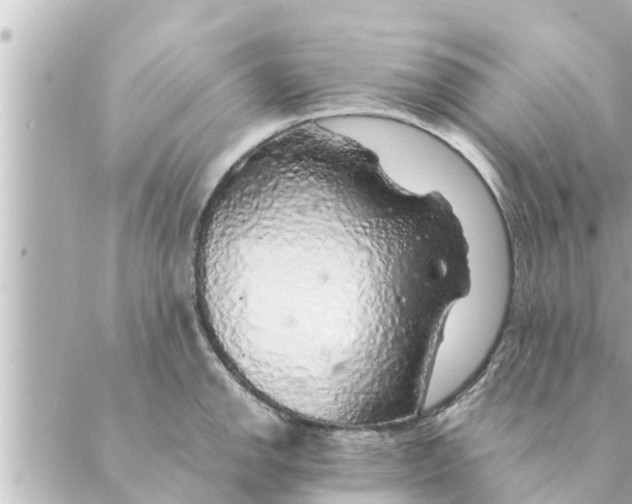 X0000088621142200706221449