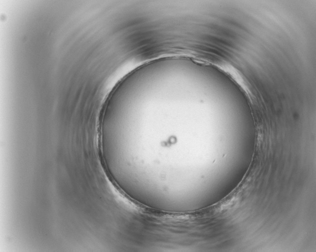 X0000088621143200706221449