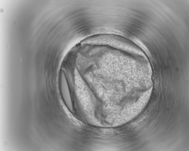 X0000088621144200706221449