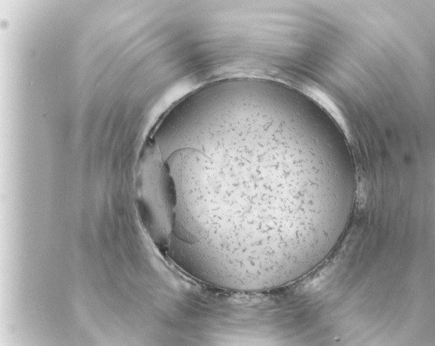 X0000088621146200706221449