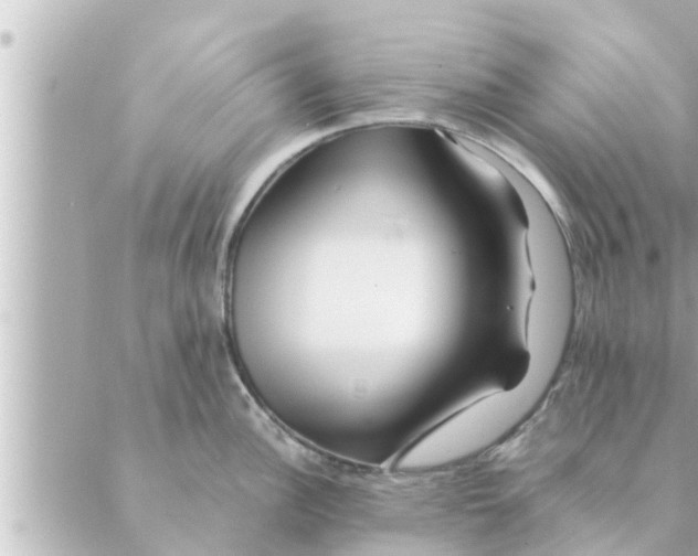 X0000088621148200706221449