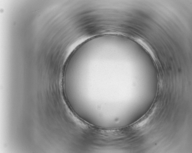 X0000088621149200706221449