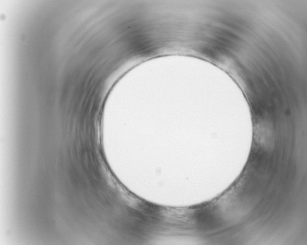 X0000088621150200706221449